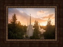 Load image into Gallery viewer, Portland High Glow

