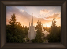 Load image into Gallery viewer, Portland High Glow
