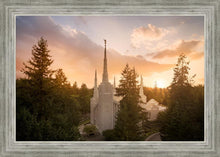 Load image into Gallery viewer, Portland High Glow
