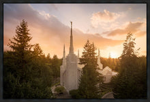 Load image into Gallery viewer, Portland High Glow
