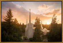 Load image into Gallery viewer, Portland High Glow
