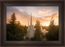 Load image into Gallery viewer, Portland High Glow

