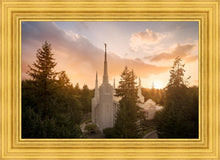 Load image into Gallery viewer, Portland High Glow
