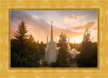 Load image into Gallery viewer, Portland High Glow
