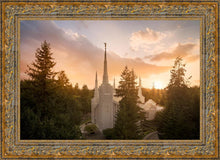 Load image into Gallery viewer, Portland High Glow
