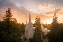 Load image into Gallery viewer, Portland High Glow
