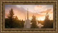 Load image into Gallery viewer, Portland High Glow
