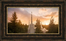 Load image into Gallery viewer, Portland High Glow
