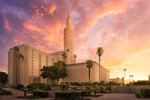 Load image into Gallery viewer, Los Angeles Light of the World
