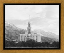 Load image into Gallery viewer, Payson High Key
