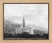 Load image into Gallery viewer, Payson High Key
