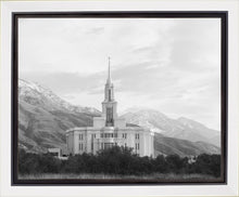 Load image into Gallery viewer, Payson High Key
