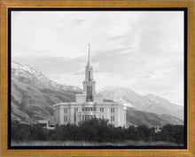 Load image into Gallery viewer, Payson High Key
