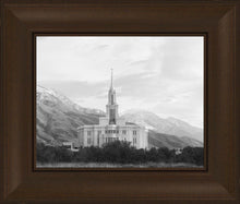 Load image into Gallery viewer, Payson High Key
