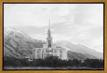 Load image into Gallery viewer, Payson High Key
