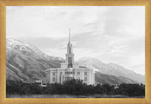 Load image into Gallery viewer, Payson High Key
