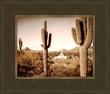 Load image into Gallery viewer, Phoenix Saguaro Cactus
