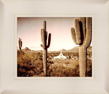 Load image into Gallery viewer, Phoenix Saguaro Cactus

