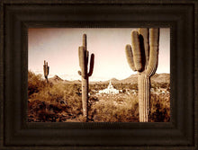 Load image into Gallery viewer, Phoenix Saguaro Cactus
