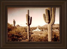 Load image into Gallery viewer, Phoenix Saguaro Cactus
