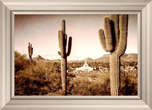 Load image into Gallery viewer, Phoenix Saguaro Cactus
