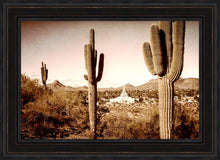 Load image into Gallery viewer, Phoenix Saguaro Cactus
