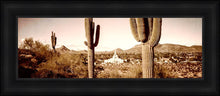 Load image into Gallery viewer, Phoenix Saguaro Cactus
