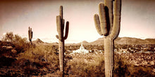 Load image into Gallery viewer, Phoenix Saguaro Cactus
