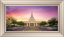 Load image into Gallery viewer, Phoenix Pastel
