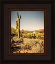 Load image into Gallery viewer, Phoenix Cactus Hill
