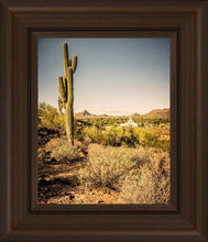 Load image into Gallery viewer, Phoenix Cactus Hill
