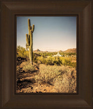 Load image into Gallery viewer, Phoenix Cactus Hill
