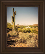 Load image into Gallery viewer, Phoenix Cactus Hill
