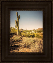 Load image into Gallery viewer, Phoenix Cactus Hill

