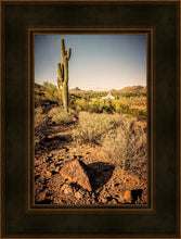 Load image into Gallery viewer, Phoenix Cactus Hill
