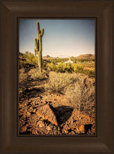 Load image into Gallery viewer, Phoenix Cactus Hill
