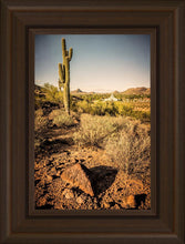 Load image into Gallery viewer, Phoenix Cactus Hill
