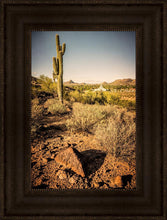 Load image into Gallery viewer, Phoenix Cactus Hill
