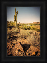 Load image into Gallery viewer, Phoenix Cactus Hill
