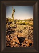 Load image into Gallery viewer, Phoenix Cactus Hill

