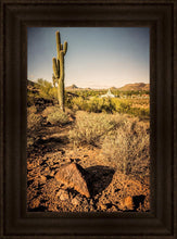Load image into Gallery viewer, Phoenix Cactus Hill
