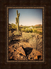 Load image into Gallery viewer, Phoenix Cactus Hill
