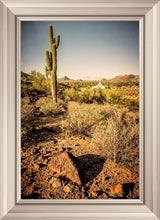 Load image into Gallery viewer, Phoenix Cactus Hill
