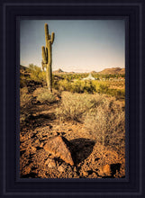 Load image into Gallery viewer, Phoenix Cactus Hill
