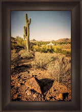 Load image into Gallery viewer, Phoenix Cactus Hill
