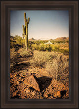 Load image into Gallery viewer, Phoenix Cactus Hill
