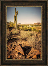 Load image into Gallery viewer, Phoenix Cactus Hill
