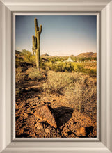 Load image into Gallery viewer, Phoenix Cactus Hill
