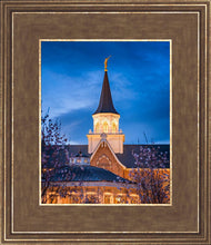 Load image into Gallery viewer, Provo City Center Blue and Gold
