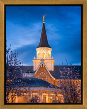 Load image into Gallery viewer, Provo City Center Blue and Gold
